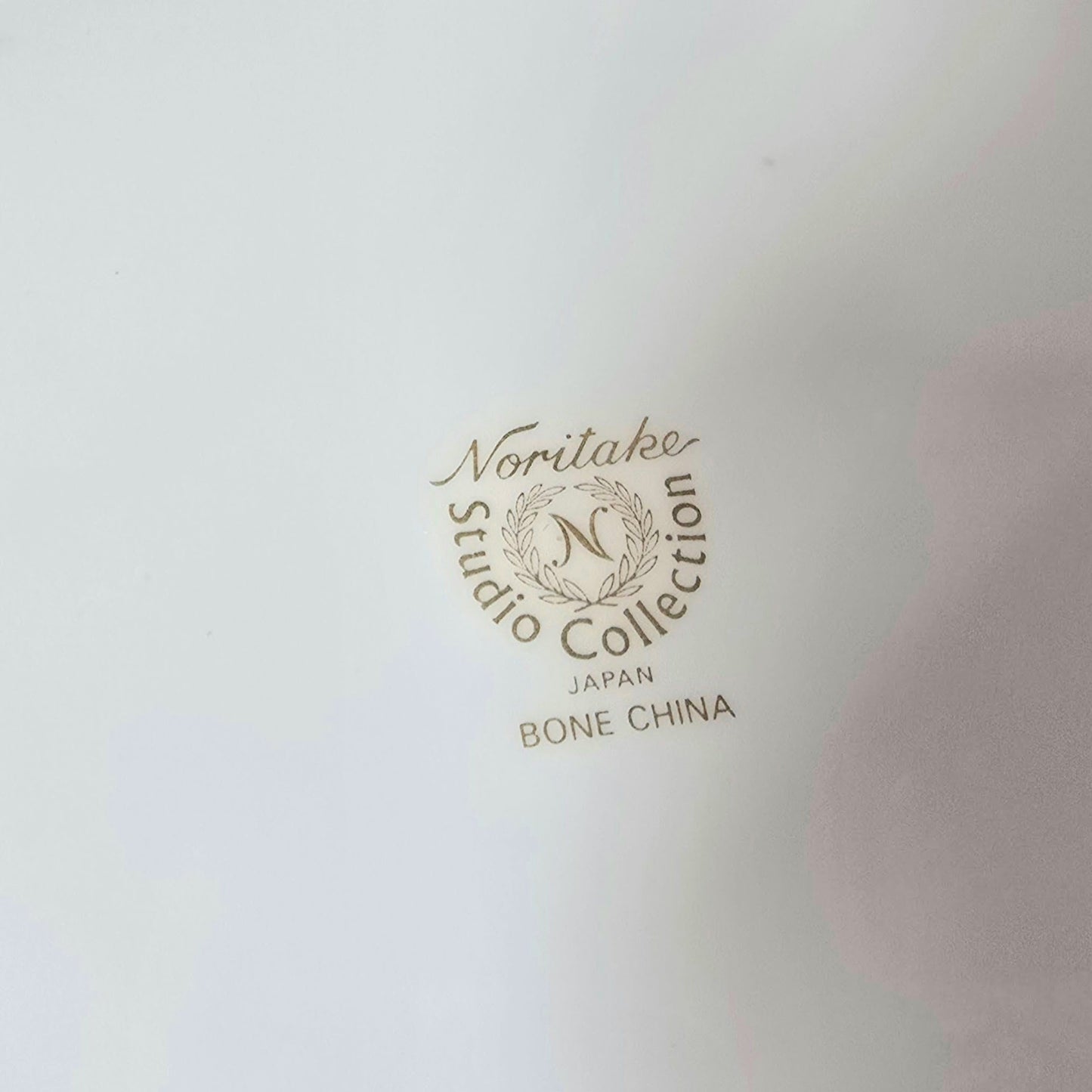 Noritake Studio Collection Bone China Plate